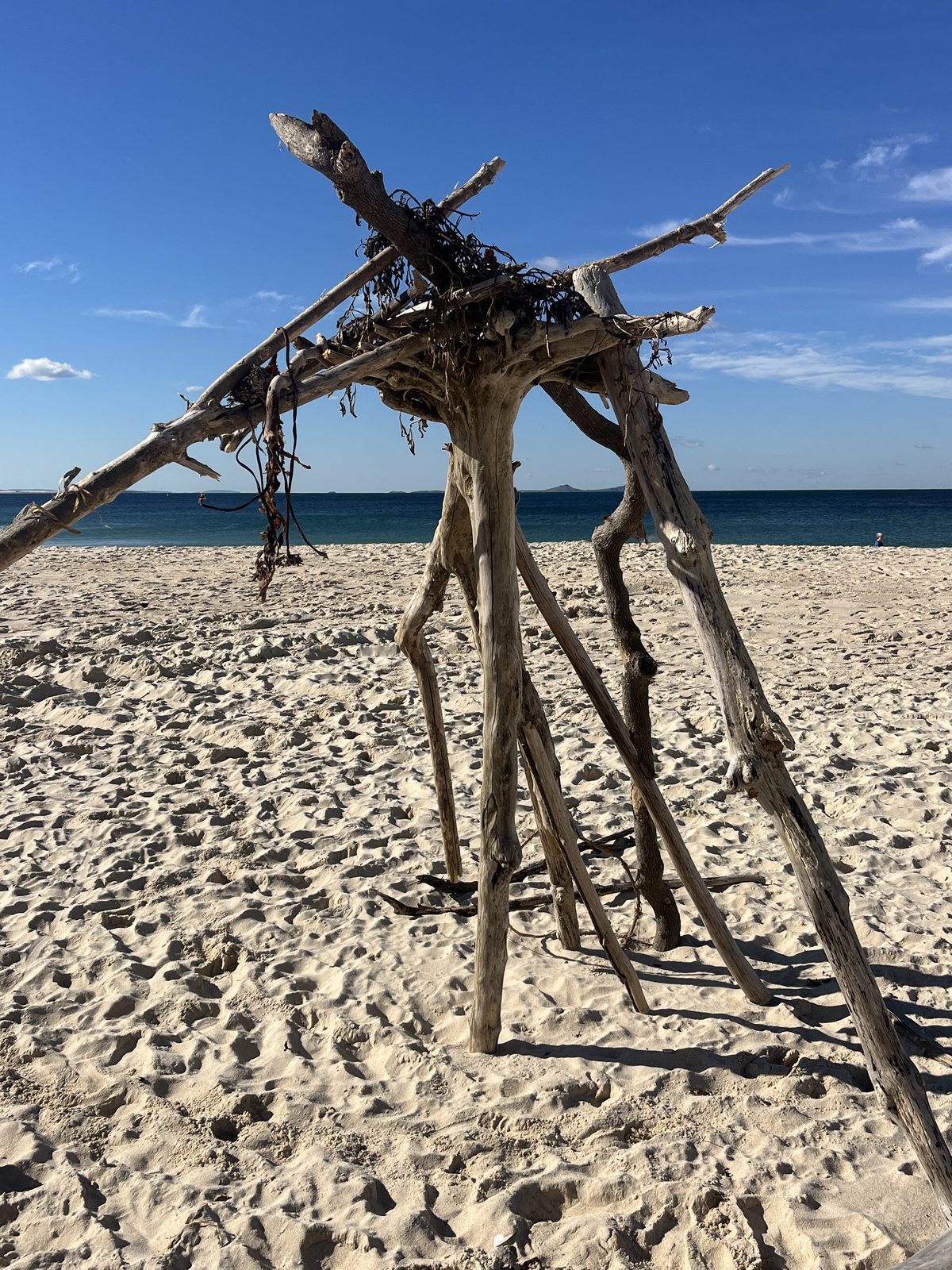 Driftwood sculpture on the white sand of Bennetts Beach, Tea Gardens