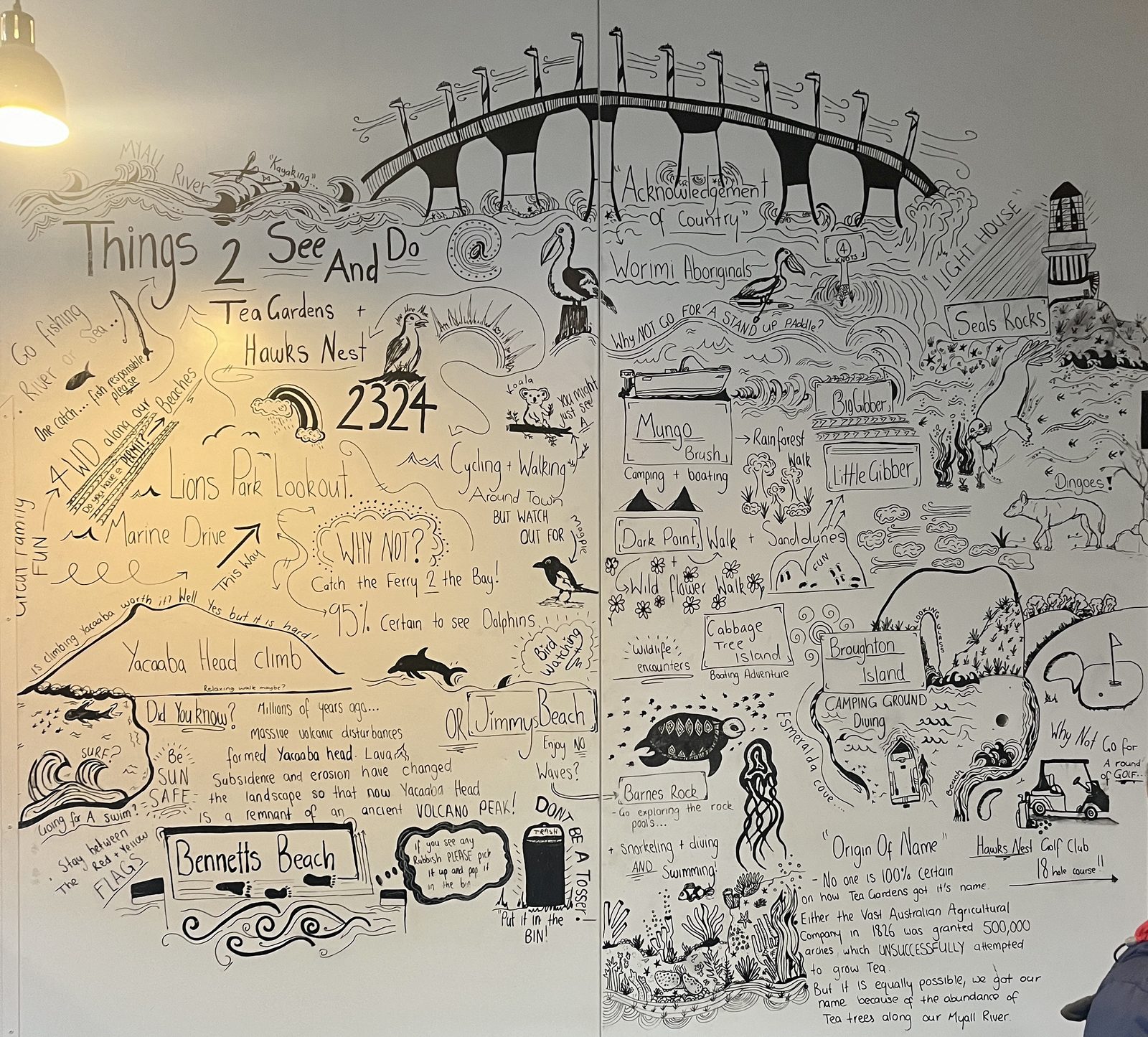 Hand-drawn local guide wall at a Tea Gardens café listing things to see and do